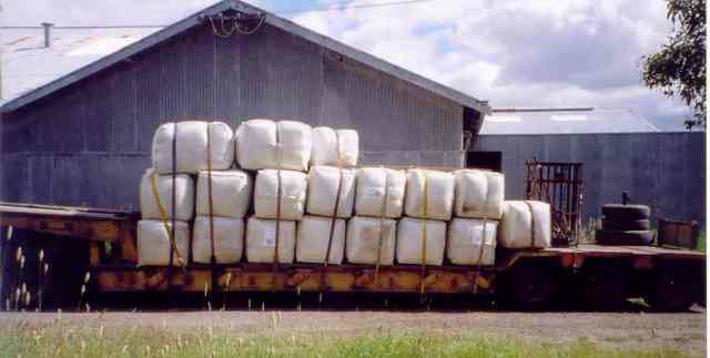 Bales of Wool