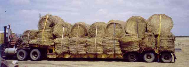 Round bales of grass hay